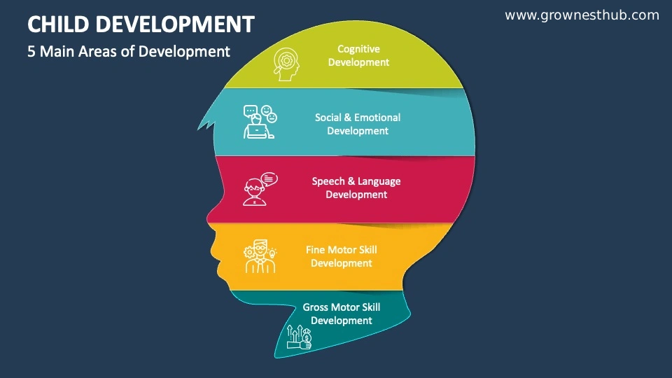 An infographic showing the five main areas of child development: Cognitive, Social/Emotional, Speech/Language, Fine Motor, and Gross Motor.