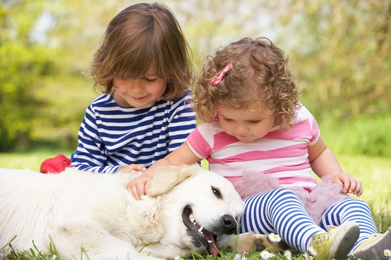 A child gently pets a family dog, an example of a practical way to create opportunities for kindness and teach empathy.