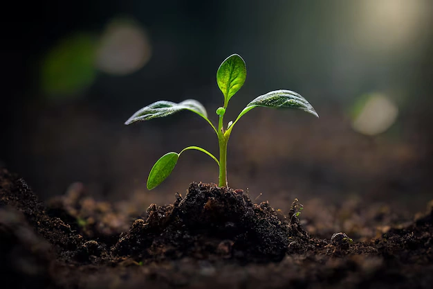 A small plant sprout represents the concept of matrescence and the growth of a new identity in parenthood.